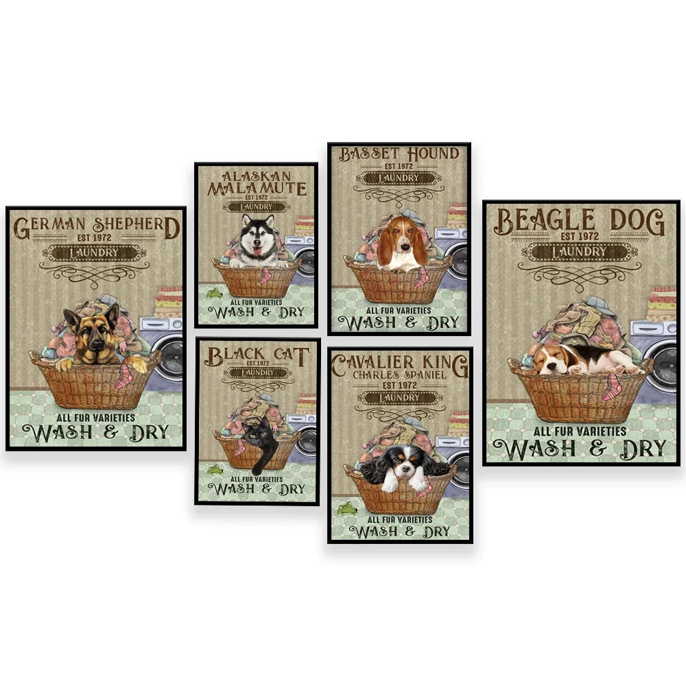 Malamute de Alaska, Gato Negro, Beagle, Basset Hound, Pastor Alemán, Cavalier King Charles Spaniel Perro Lavado Seco Póster de Lavandería