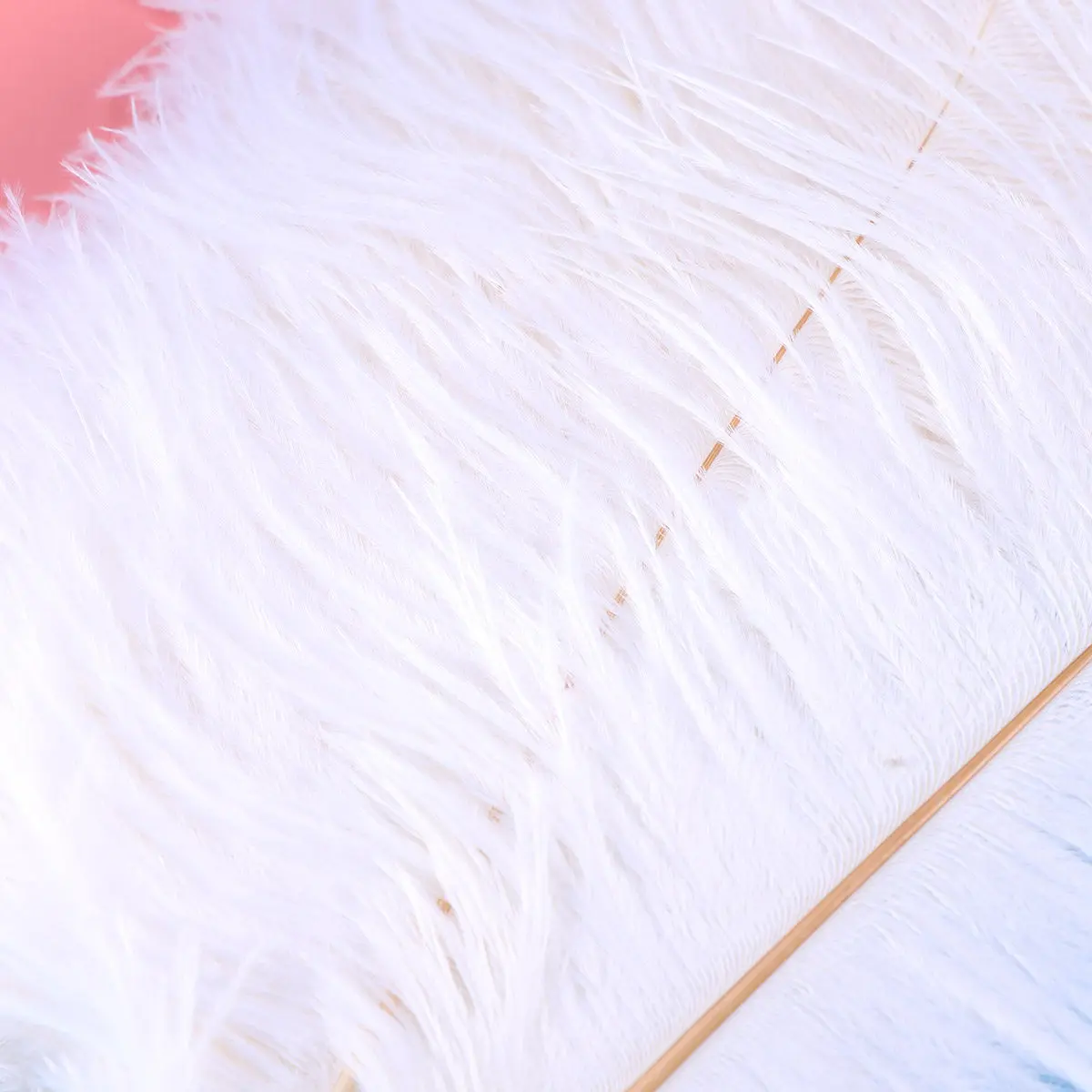 10Pcs Premium Natural Ostrich Bulk Decoration Plumes Fumigated for Wedding Centerpieces Party Costumes Crafts Home DIY