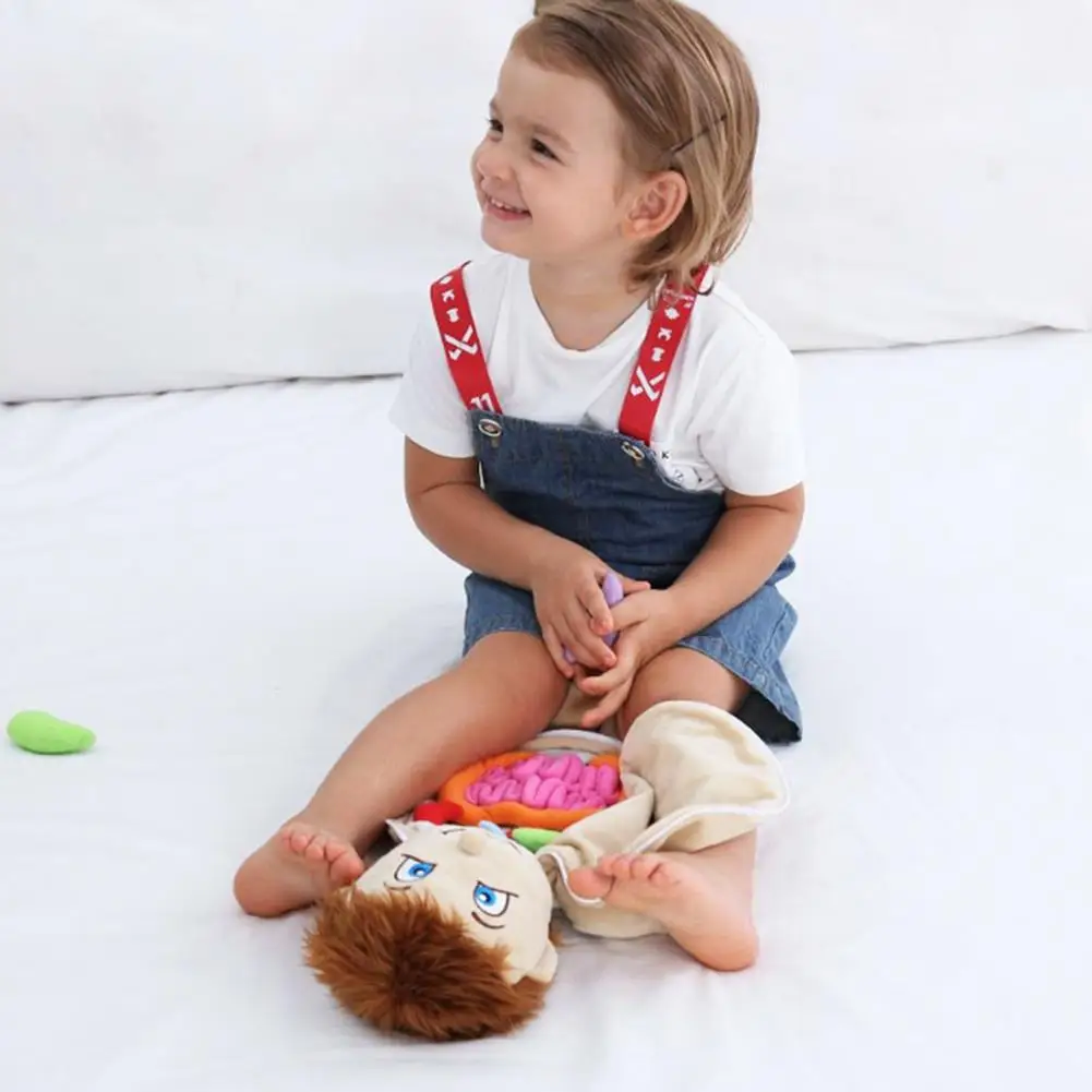 Kids Body Organ Awareness Teaching Tools Science Learning Kits Human Body Anatomy Toy Preschool Educational Organ Plush Toys