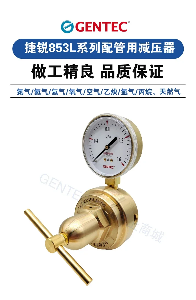 Applicable to Pressure reducing valve 853L series piping pressure regulator 853LX-125 853LIN-125 nitrogen and argon gas