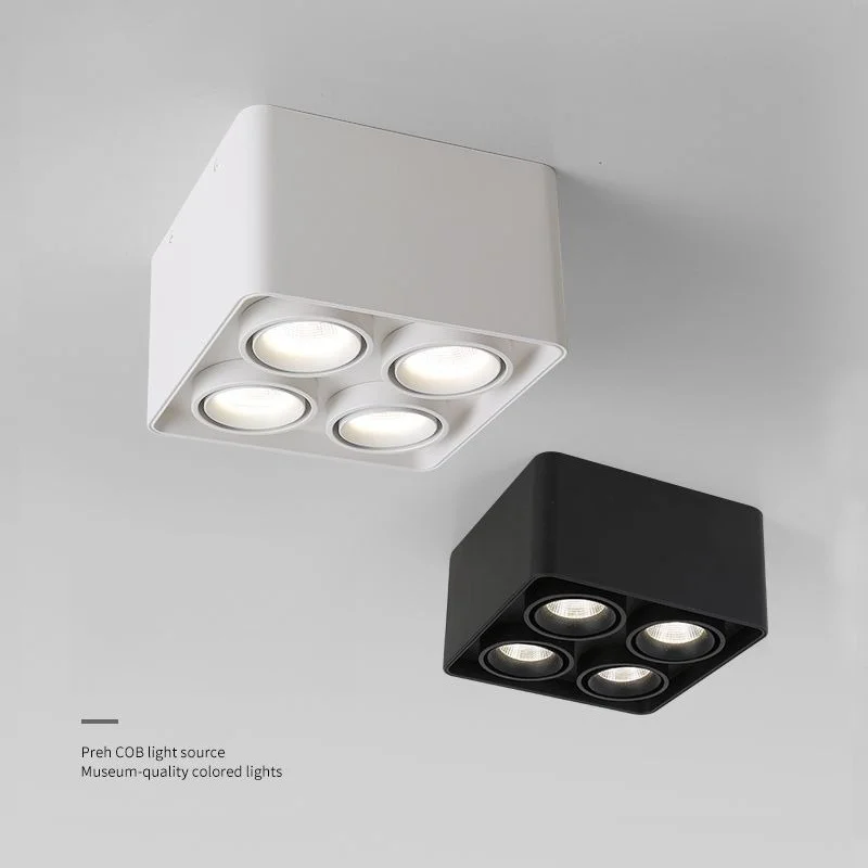 Industrial Style Surface Mounted Dual Head LED Downlight Square Design for Mainless Lighting in Living Room Bedroom Room Decor