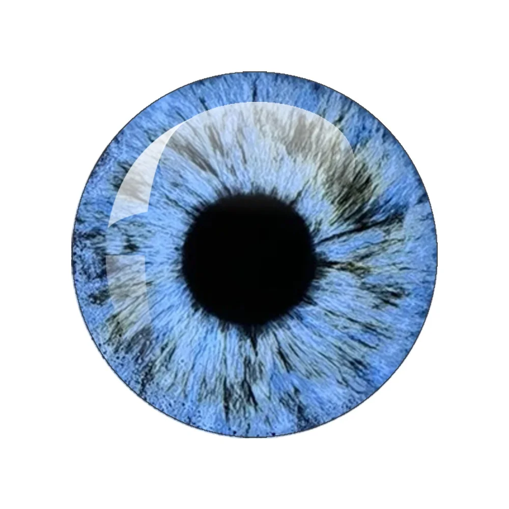 6pairs/bag Dragon Cat Animals Eye Chips10MM-40MM Round Eye DIY Jewelry Accessory Blythe Doll Super Thin Eyes Chips Wholesale  ﻿