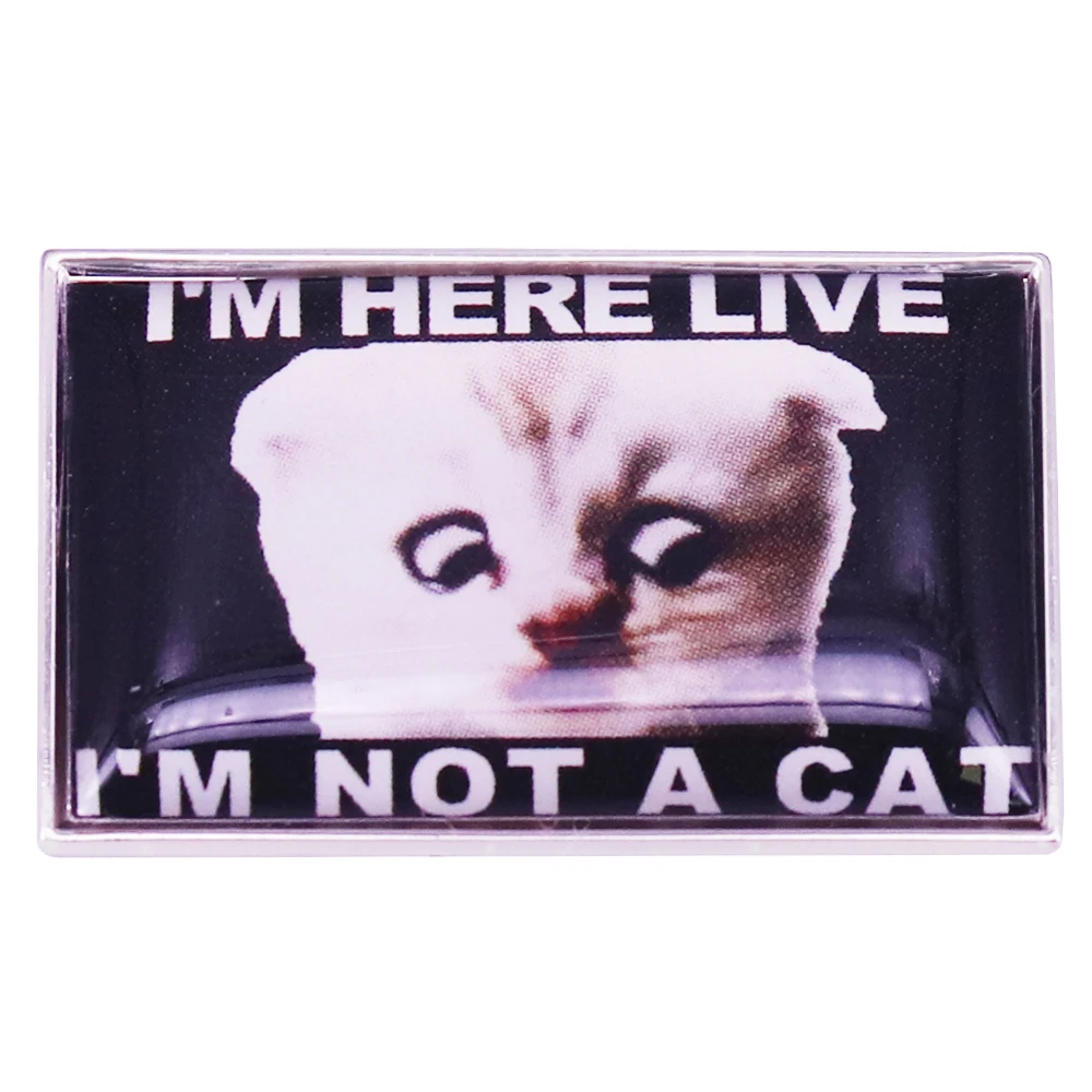 I'm Here Live, I'm Not a Cat Badge Funny Lawyer Cat Video Call Meme Brooch