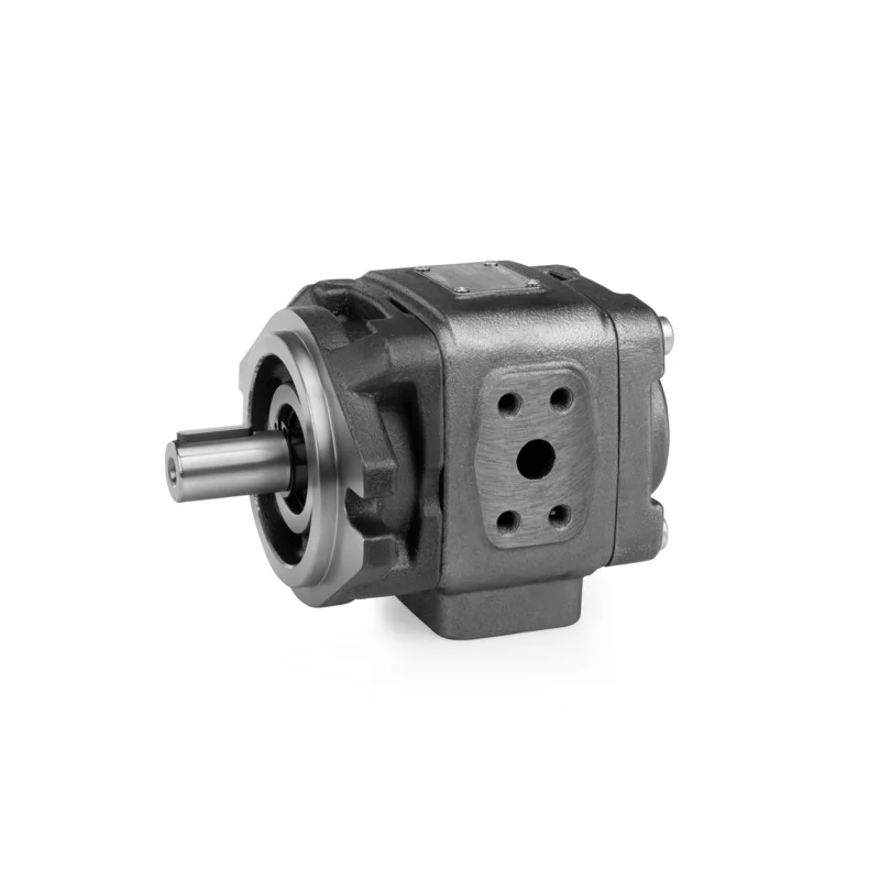

For Sea Shipping CustomizedSUNNY HYTEC HG0-8 HG0-10 HG0-13 HG0-16 HG0-20 HG0-25 Hydraulic Internal Gear Pump 1 HP 100 Bar for Ec