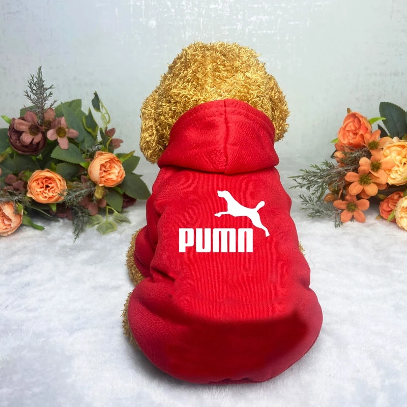 PUMN Dog Spring Hoodie Sweatshirts with Pockets Warm Dogs Clothes for Small Dogs Chihuahua Coat Puppy Cat Custume French Bulldog