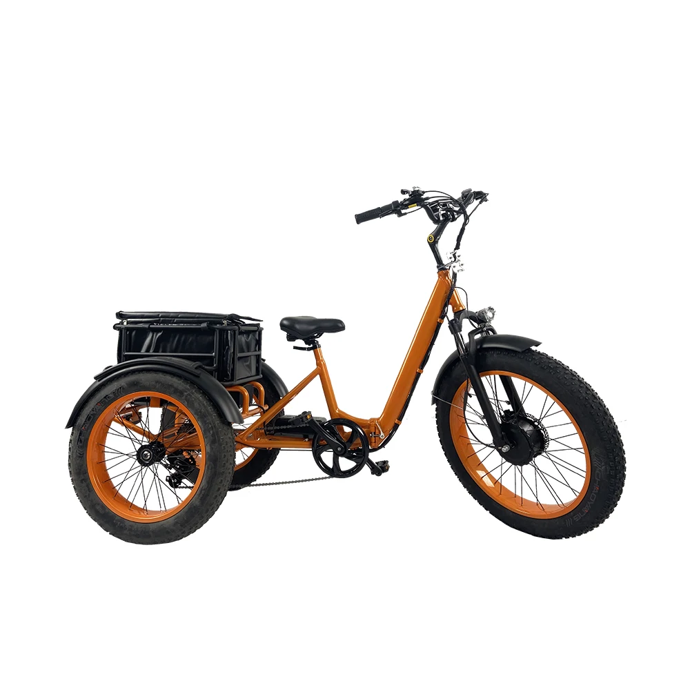 

Custom Electric Tricycles 3 Wheel Bike Cargo Tricycle Shopping Cart Trike Carrying Kids Children Pets Dog Baskets