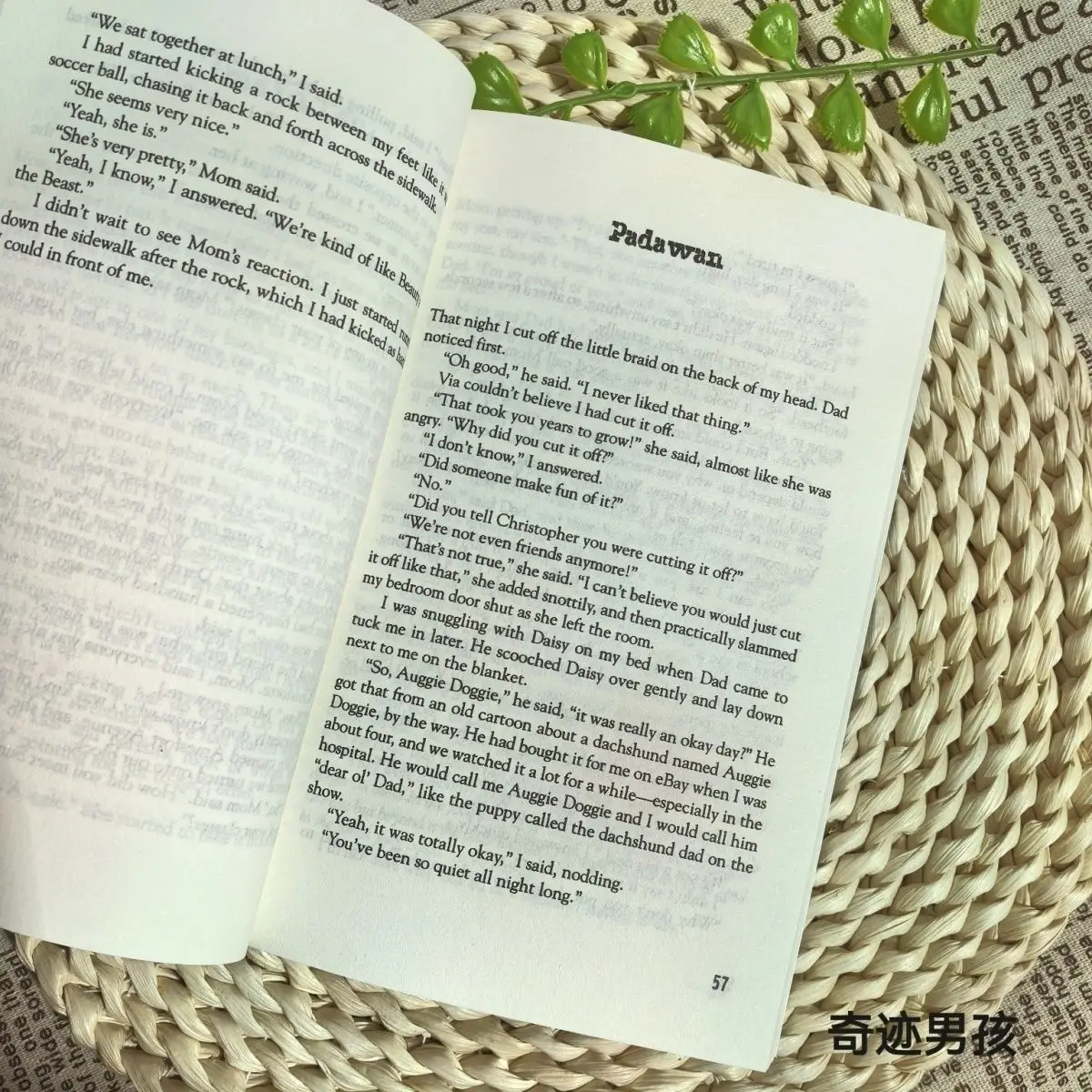 كتاب ووندر بوي الإنجليزي رواية باراكيو الأصلية للعائلة والأبوية والشباب رواية ملهمة كتب إنجليزية Libros Livros