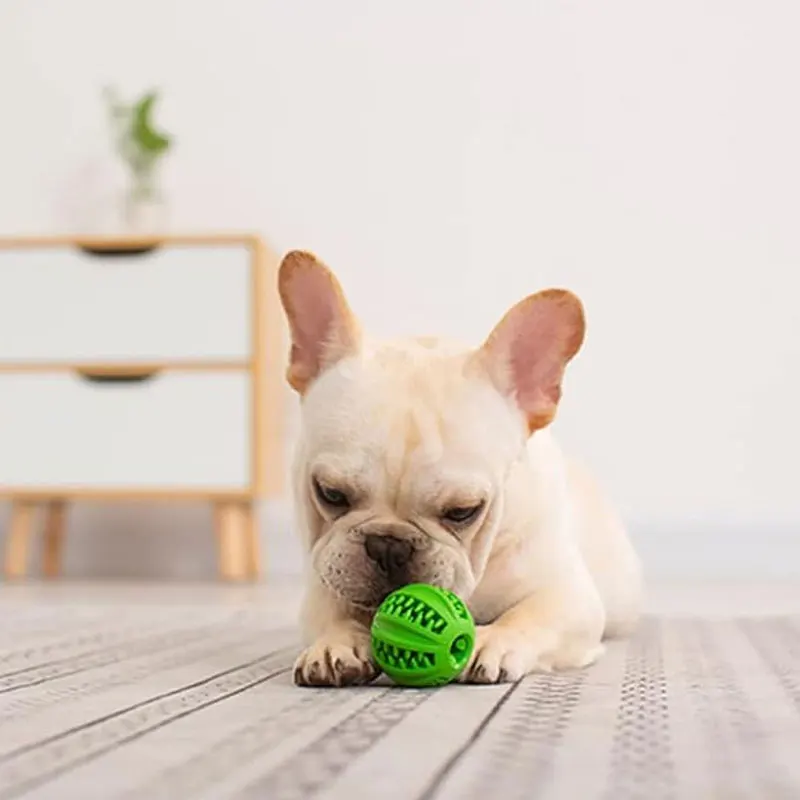 Hunde-Gummi-Leckball: Interaktiver Kau- und Zahnreinigungsball für Hunde – Trainings- und Langsam-Fressball für Haustiere – Detail 1