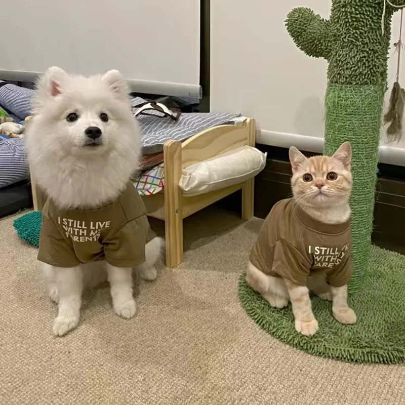 

Newest Cat Puppy Vest Round Neck T-shirt for Small Dogs Cats Letter Print Pet Base Layer Shirt Pullover Kitten Clothing Outfit
