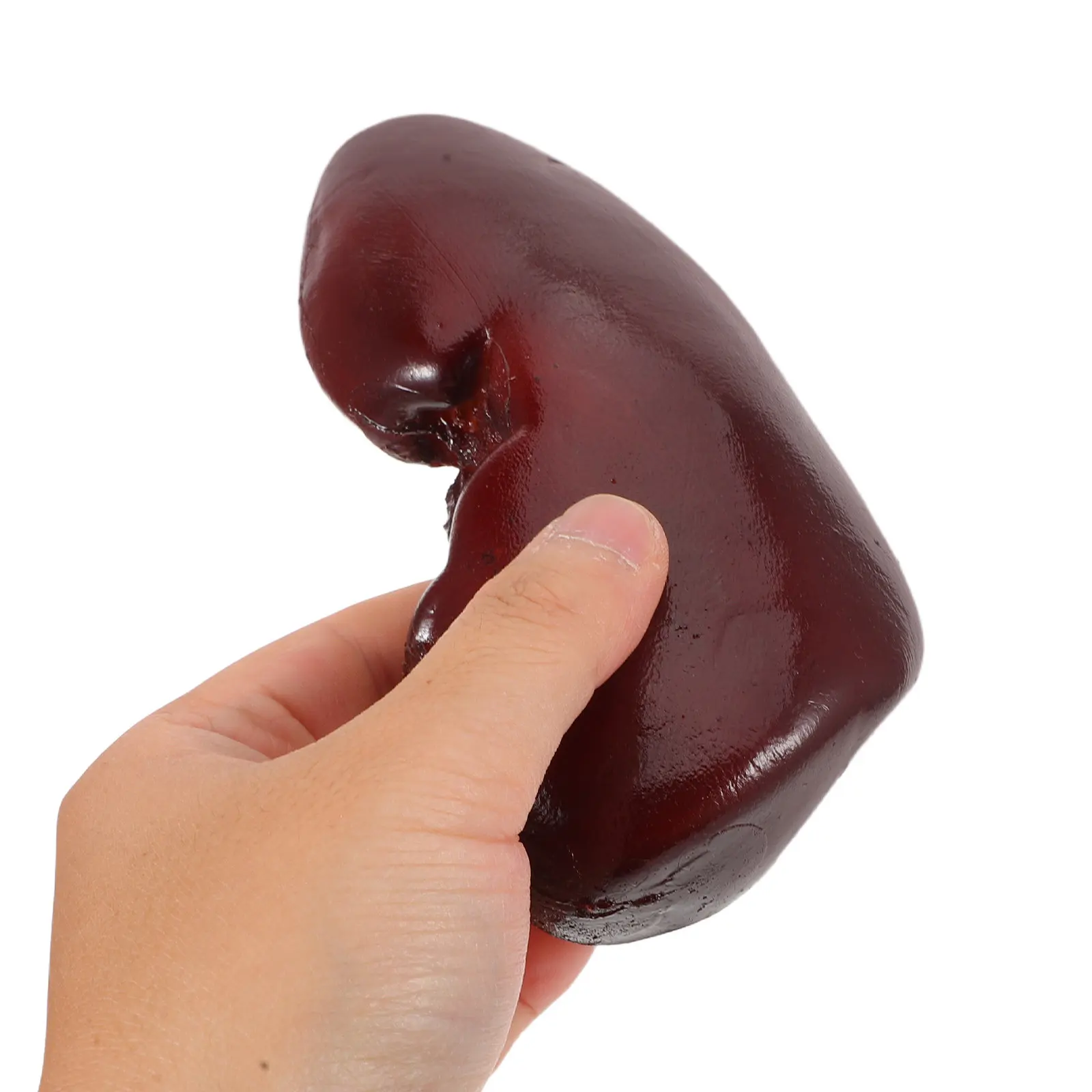 

Realistic Pig Kidney Fake Food Halloween Prank Prop Cosplay Stage Performance Haunted House Decoration