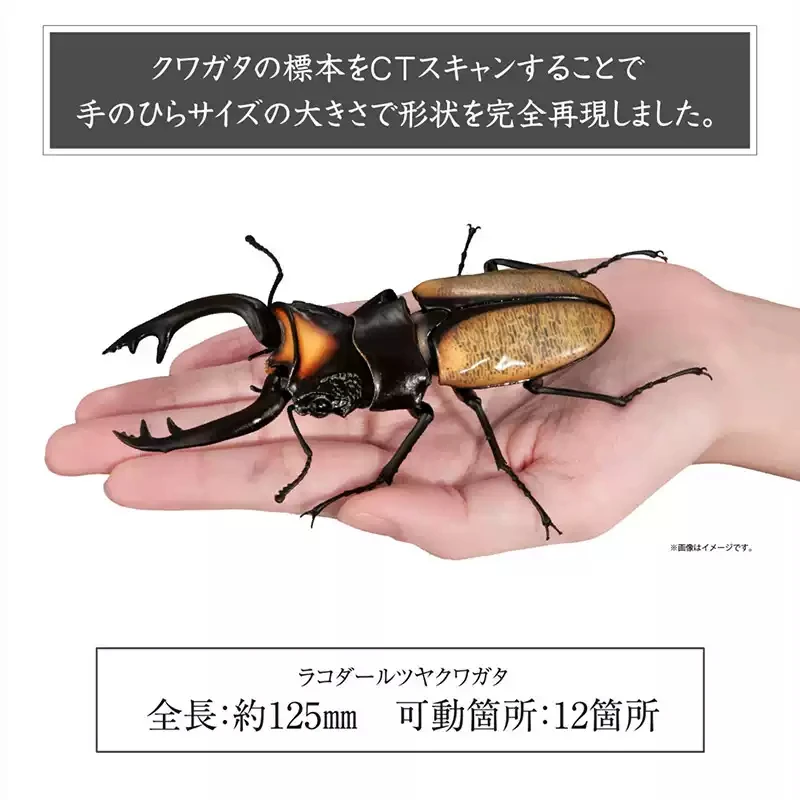 Kolekcja figurek anime BANDAI Original Toys Ikemono Taisyou ADVANCE Gacha Lucky Draw Allomyrinadichotoma