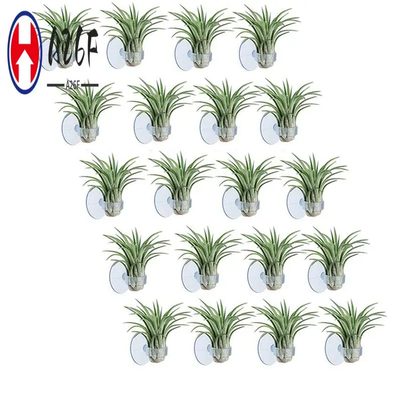 

A26F-60 шт. держатель для эфирных растений, подвесной держатель для растений тилландсии с присоской для подвешивания (растения в комплект не входят)