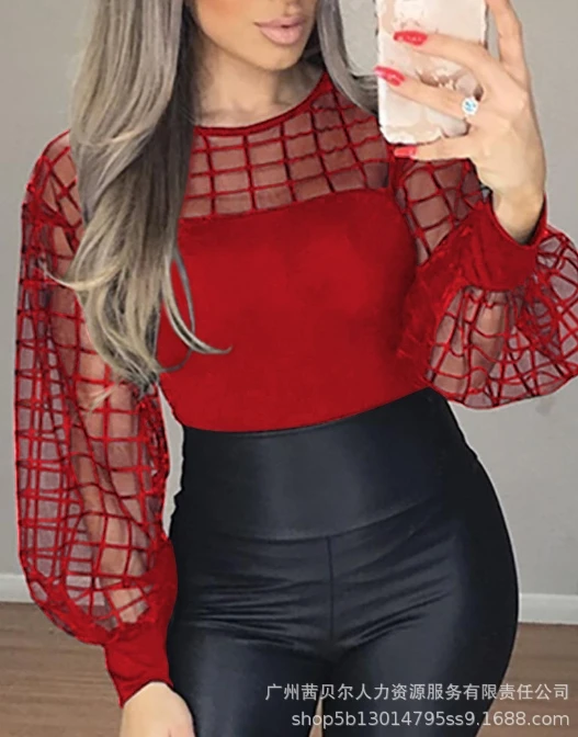 

Women Elegant T-Shirt 2024 Spring Summer Latest Solid Temperation Mesh Panel Top Round Neck Long Sleeved Commuting Style Blouses