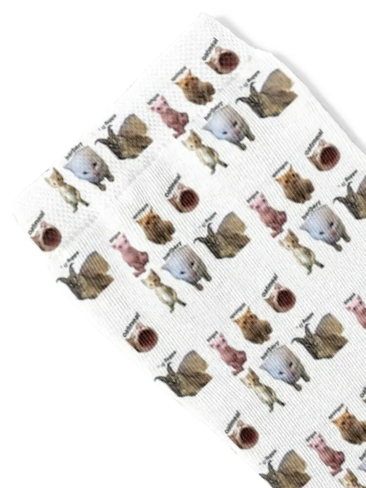 Bingus, Spoingus, Oatmeal, Michael (a), herbert, and Big Floppa - All the Bingus Cats Socks aesthetic anime Women's Socks Men's