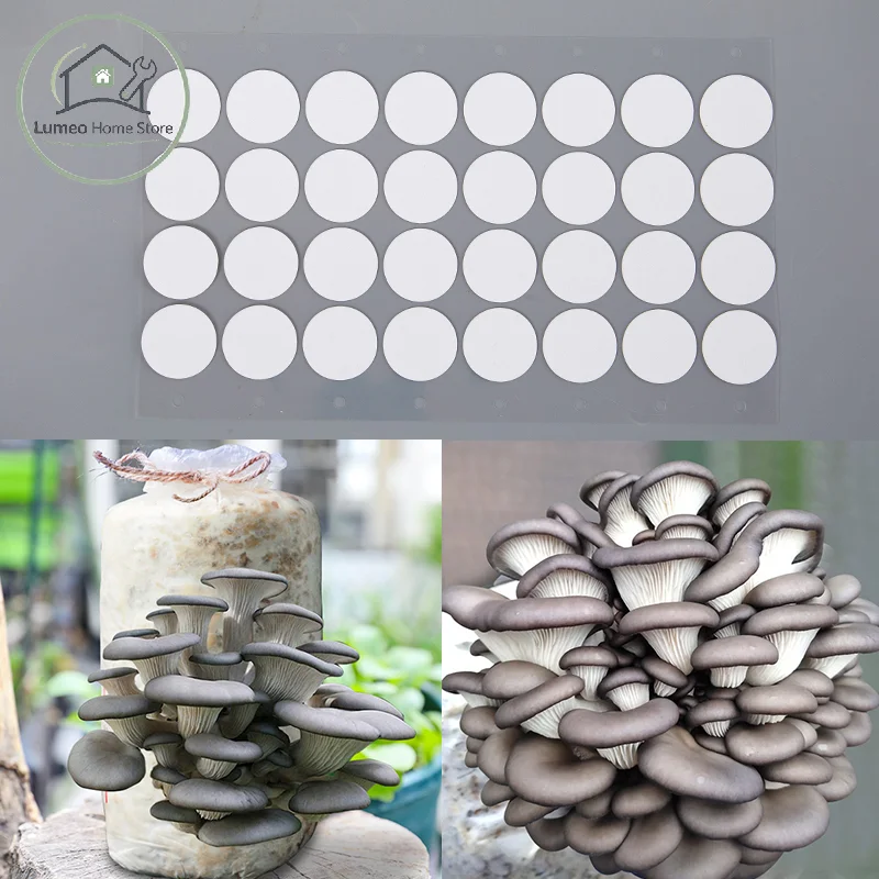 32Pcs 20mm Hydrophobic Mesh Filter Stickers Breathable Membrane for Mushroom Cultivation