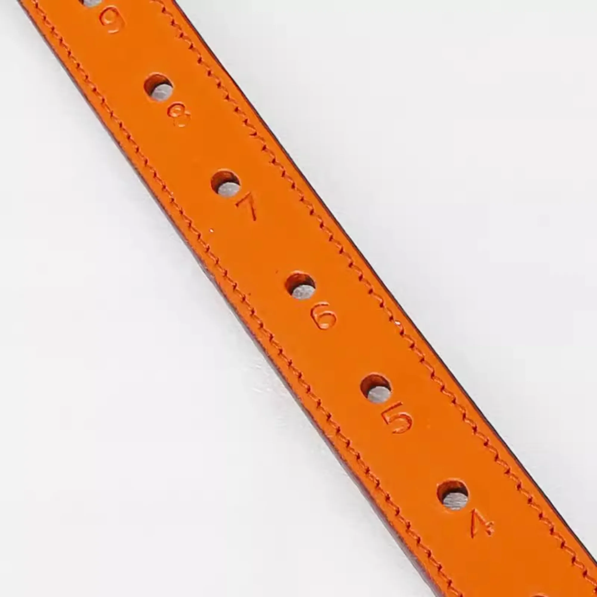 Cavassion special compression buckle cowhide webbing strap, stirrup strap, saddle accessories, equestrian riding equipment