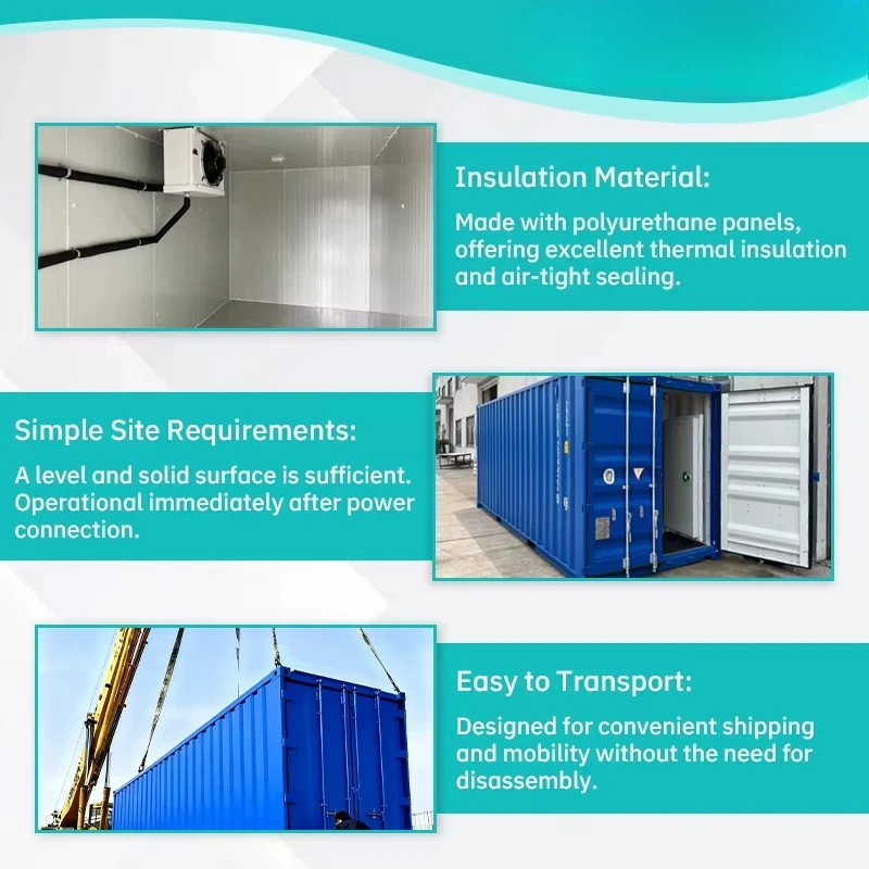 Modular Cold Room Storage Energy Saving Restaurant Freezer Copeland Solar NSF Certified Refrigeration Equipment Remote Control