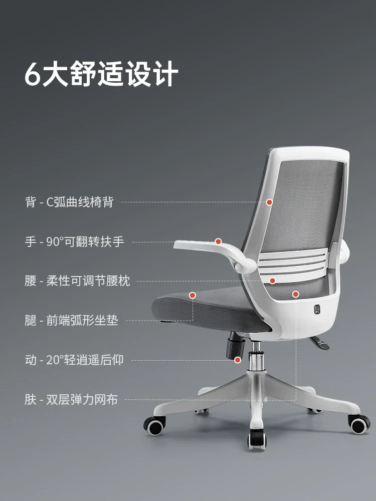 Computer Chair Home Study  Chair Desk Ergonomic