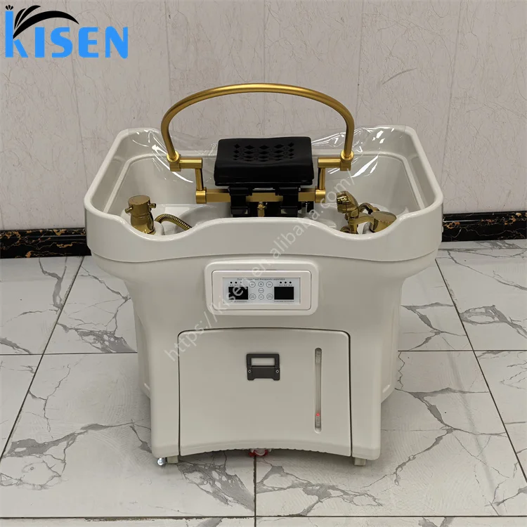 New Fashion Portable Japanese Head Spa Sink Basin Japanese No Plumbing Shampoo Basin With Steamer Hair Washing Spa Salons