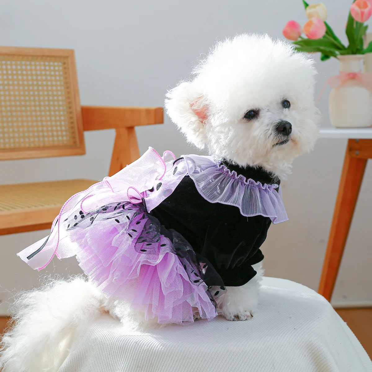 Magic Elf Tutu Pet Clothes Dog Cat Cat Haute Couture Wedding Dress Princess Dress view 3