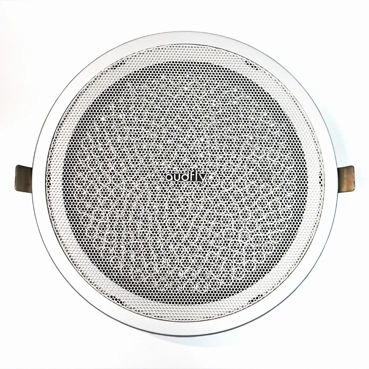 Cutting-edge Sound Innovation Ceiling Mounted Minimal Sound Leakage Parametric Directional Audio Speaker