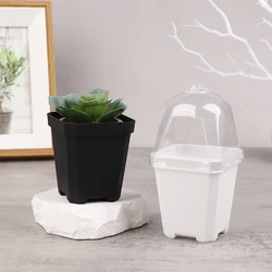 5Pcs Square Small Flower Pot Nursery Pot With Humidity Dome Transparent Gardening Pot Square Flower Starting Pots 3Colors
