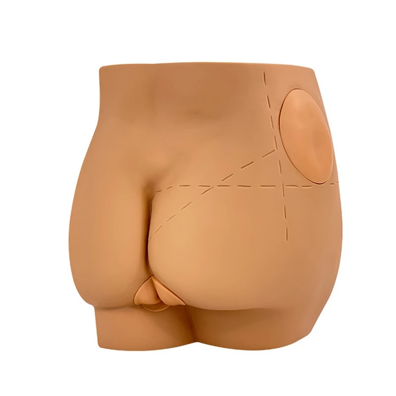 A35Q-Human Hip Joint Intramuscular Injection Simulator Anatomical Model, Buttocks Care Puncture,  Teaching Resources