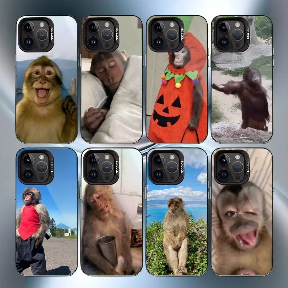 

Cute Funny Monkey Phone Case For iPhone17,16,15,14,13,12,11 Plus,Pro Max Black Candy Matte Shockproof Cover