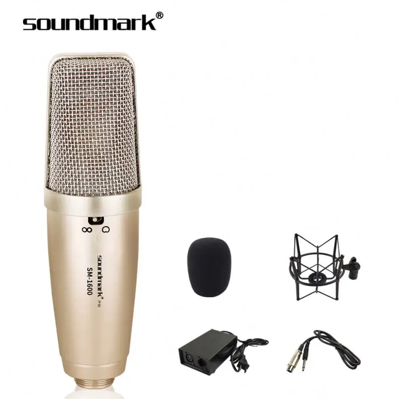 

Music Recording Microphone Recording for Studio Equipment Microphone