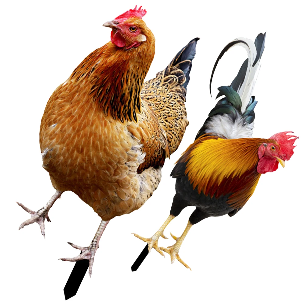 

2Pcs Garden Chicken Stake Decorative Insert Simulation for Lawn Yard Decoration Outdoor Acrylic Durable Stakes
