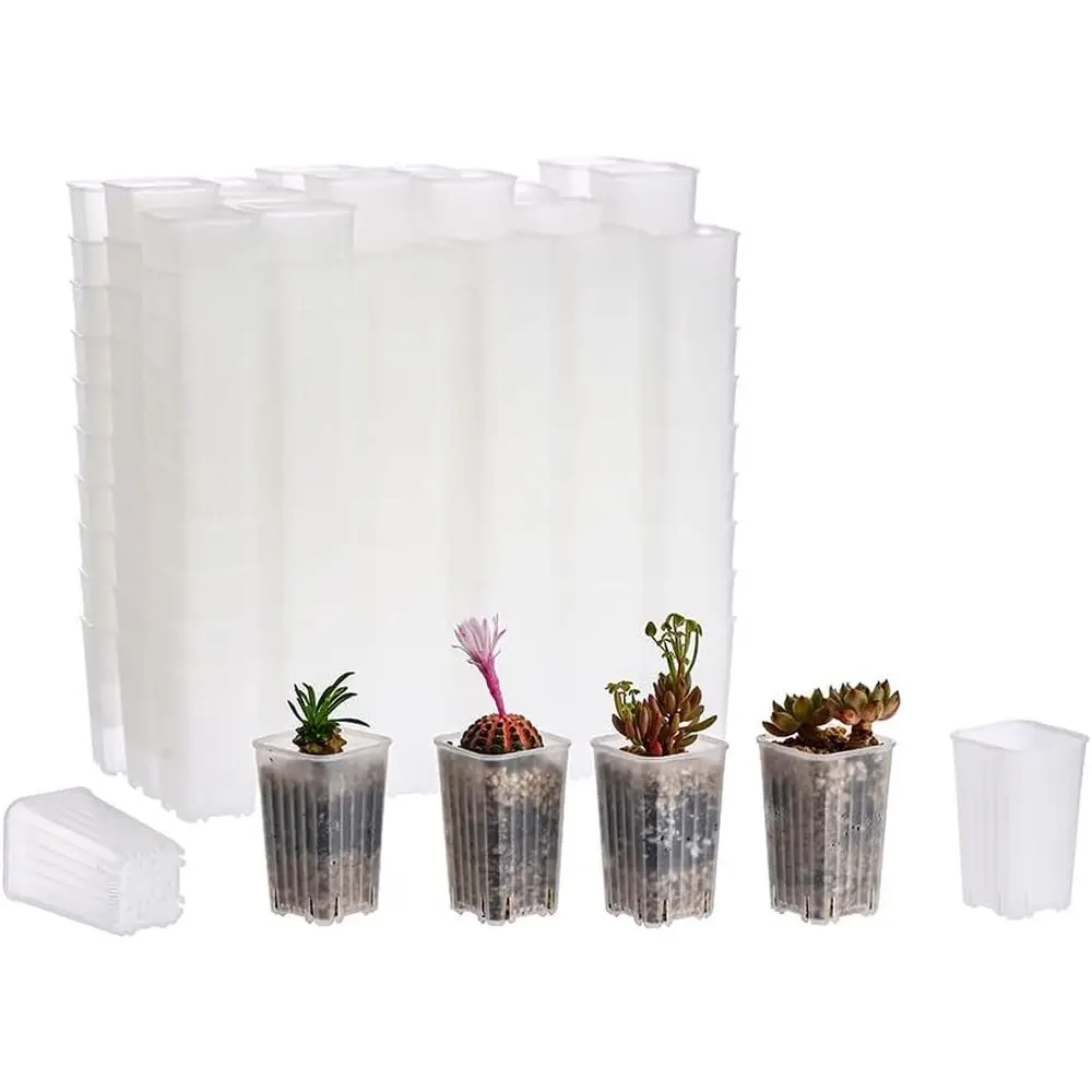 1.95 Inch Clear Plastic Square Pots for Nursery, Seedling, Germination, and Mini Plant Transplanting