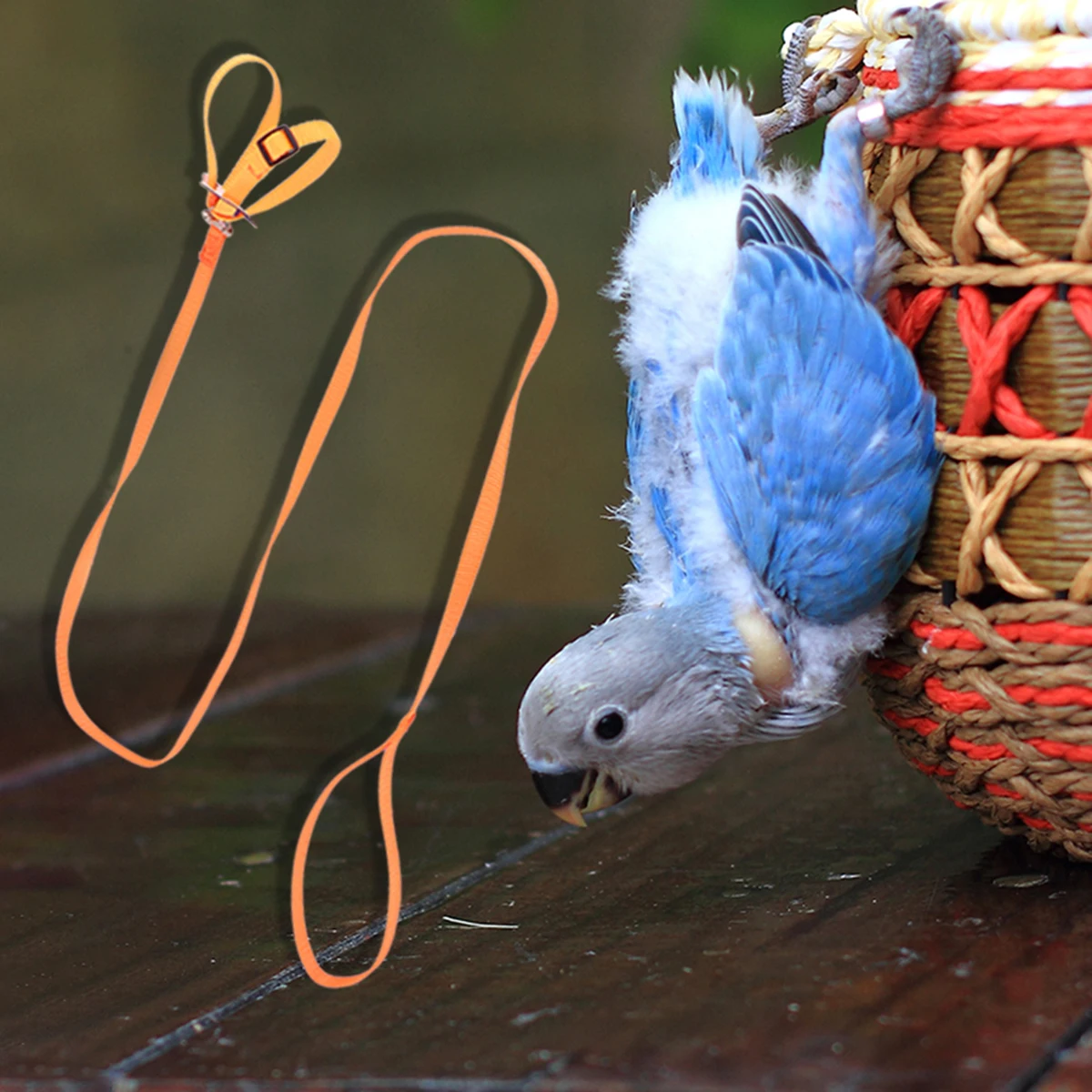 

1pc Parrot Leash Outdoor Pet Supplies Red Walking Rope for Bird Hamster Turtle Lizard Travel Durable 8-Shaped Design Pet Leash