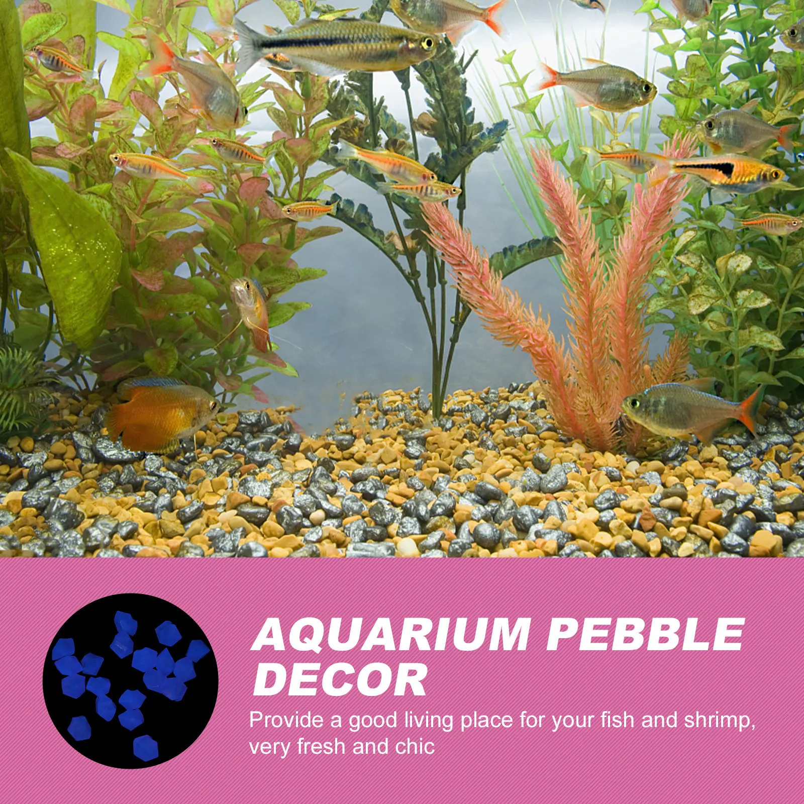 300 Adet Karanlıkta Parlayan M - Aquarium Fish That Glow In The Dark incelemesi ve fiyatı