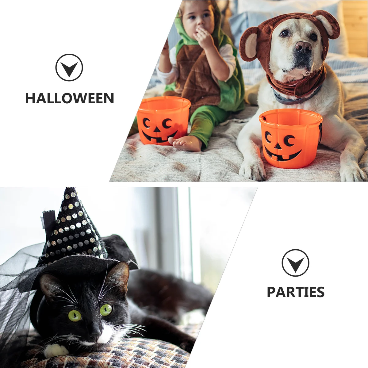 

1Pcs Pet Spider Costume Halloween Harness Creative Spider Design Dog Funny Harness Festival Outfit Pet Cat Costume