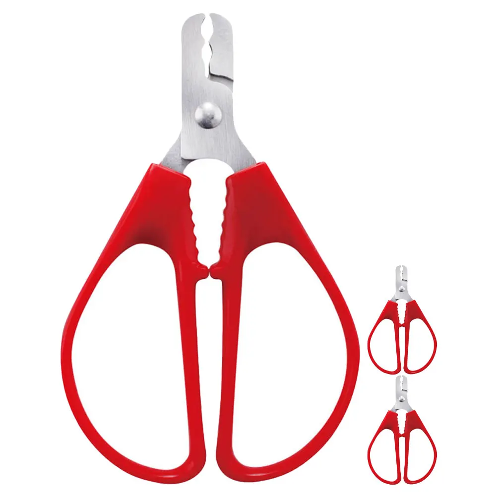 

3pcs Stainless Steel Nut Sheller Portable Melon Sunflower Seed Plier For Pine Nuts Peeling Multi-Function Kitchen Gadgets Tool