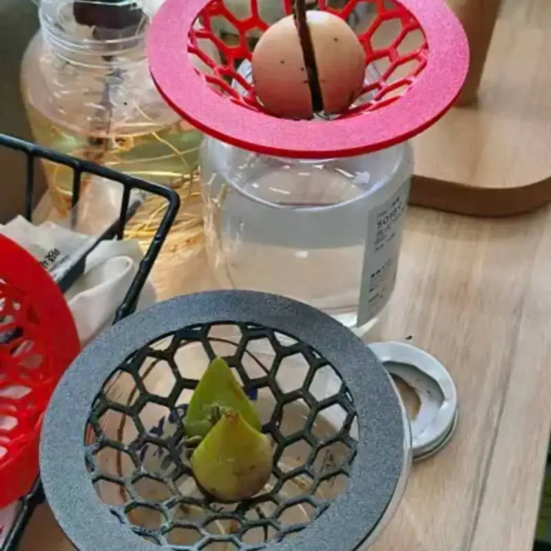 1pc Hydroponic Avocado Cultivation Stand Detachable Durable Plant Hydroponic Stand For Air Circulation Gardening Accessories