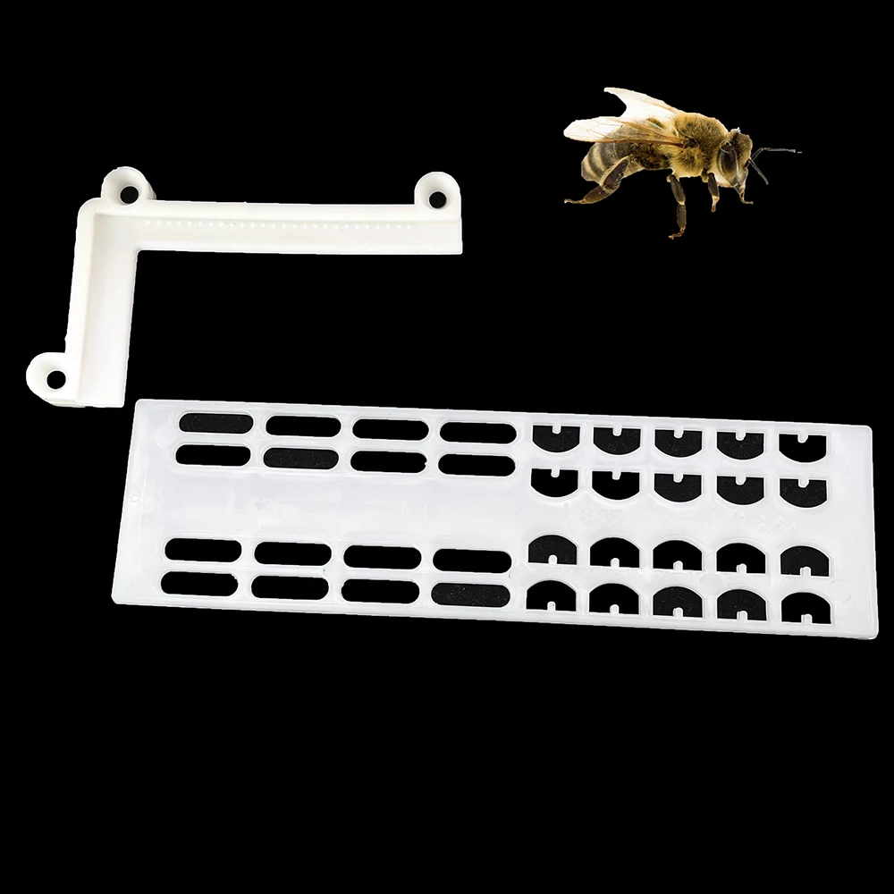 Queen Entrance Gate Plastic 4.25mm 4.35mm For Workers Bee Pass Anti Royalty Escape Pollen Trap Excluder Reducer 14cm Width Tools