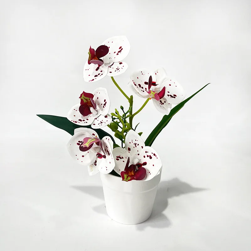 Indoor Butterfly Orchid Model in Pot for Styling Consistency Soft PE Silk Petals and Structurally Accurate Stem Support