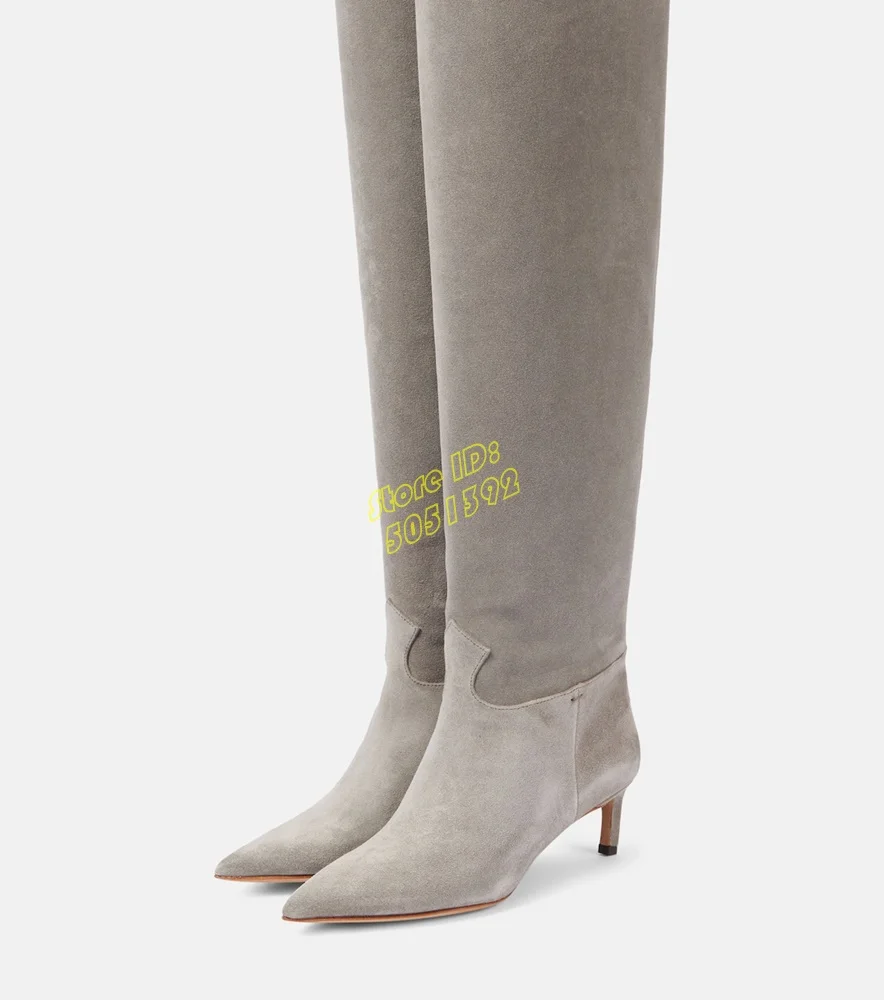 Grey Suede Over The Knee Boots Kitten High Heel Sexy Pointy Toe Slip On Fashion 2024 Winter Autumn Runway Women Dress Shoes