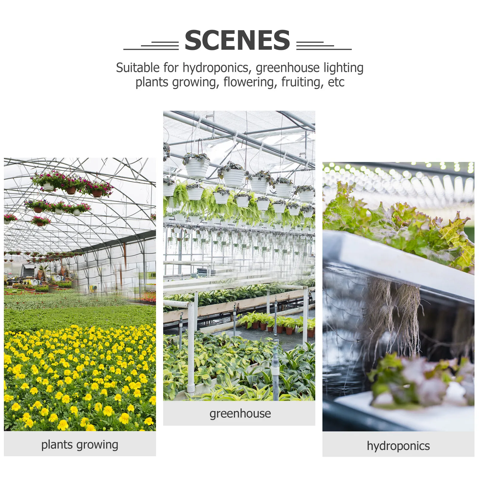 

10M Greenhouse Repair Patch Film Repair Tape Plastic UV Resistant Clear Outdoor Garden Film Repair Adhesive Shed Tape Greenhouse