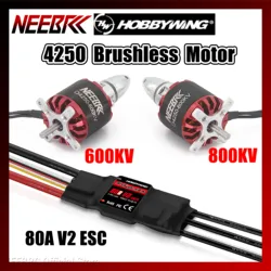 NEEBRC 4250 600KV 800KV Brushless Motor 3-7S With HOBBYWING Skywalker 80A V2 ESC Speed Controller for RC FPV Drone Aircraft Plan
