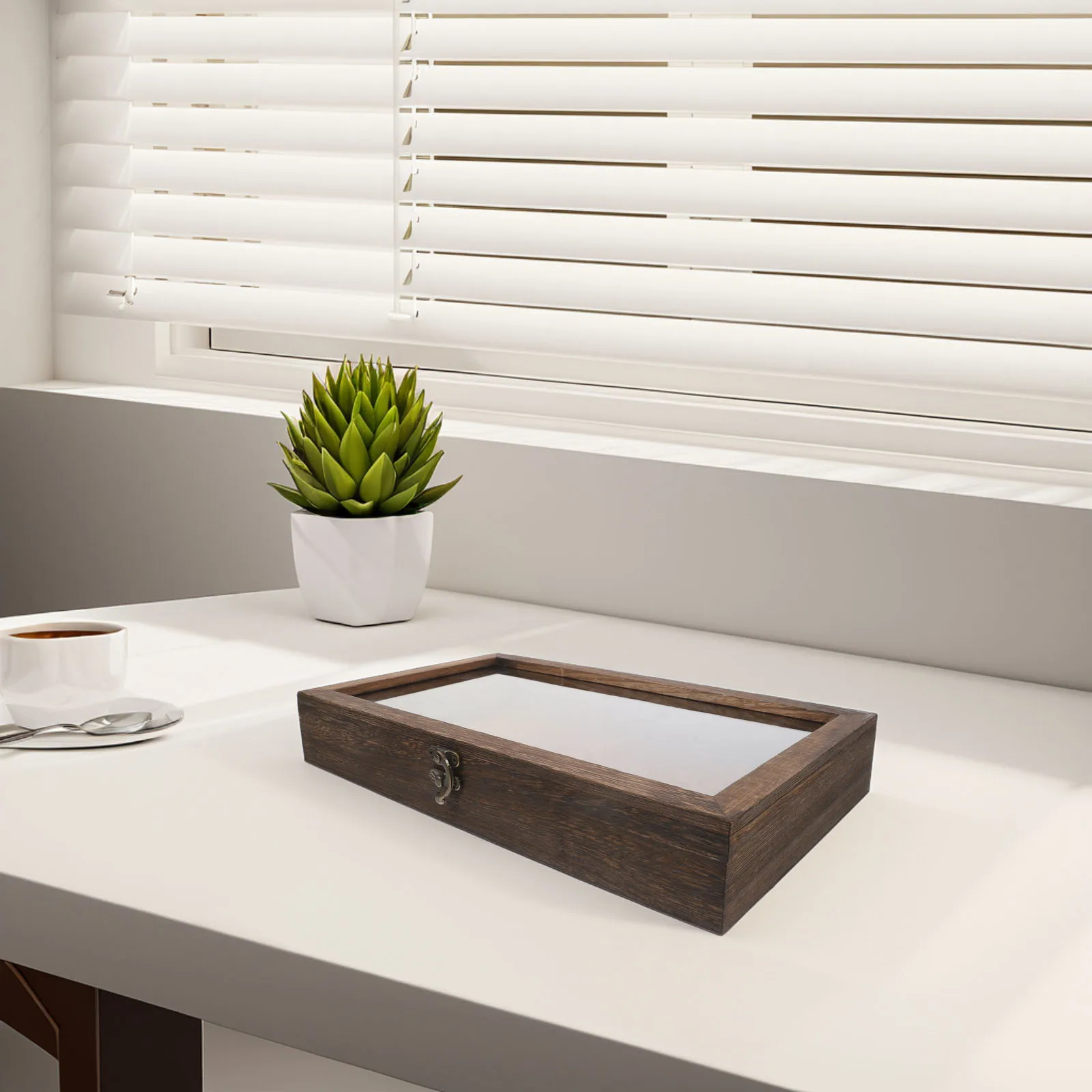 Specimen Display Case Wooden Insect Shadow Box with Glass Lid Pine Butterfly Storage Frame Organizer for Home School