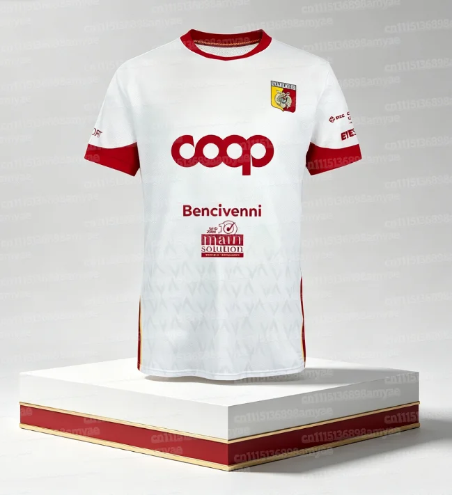 Neues 26 Catanzaro Fußball-Matchtrikot T-Shirt Italienisches Herren-Fußball-Schnelltrocknungs-Trikot T-Shirt Speziell für Familien – Detail 4