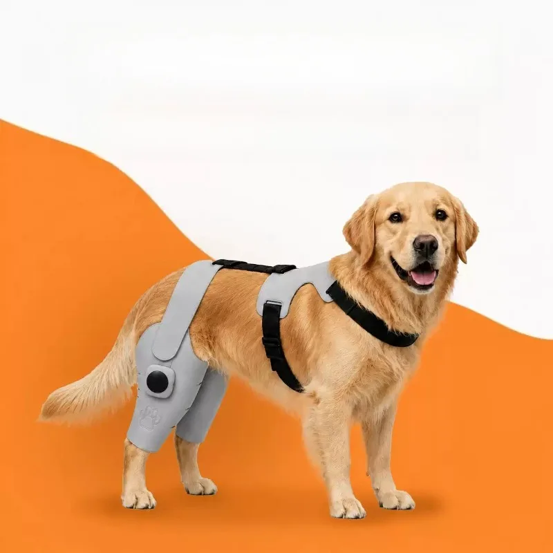 Red Light Joint Therapy Set, Wireless Wearable Limb Recovery Support Kit, Pet Joint Care Rehabilitation for Medium Large Pets