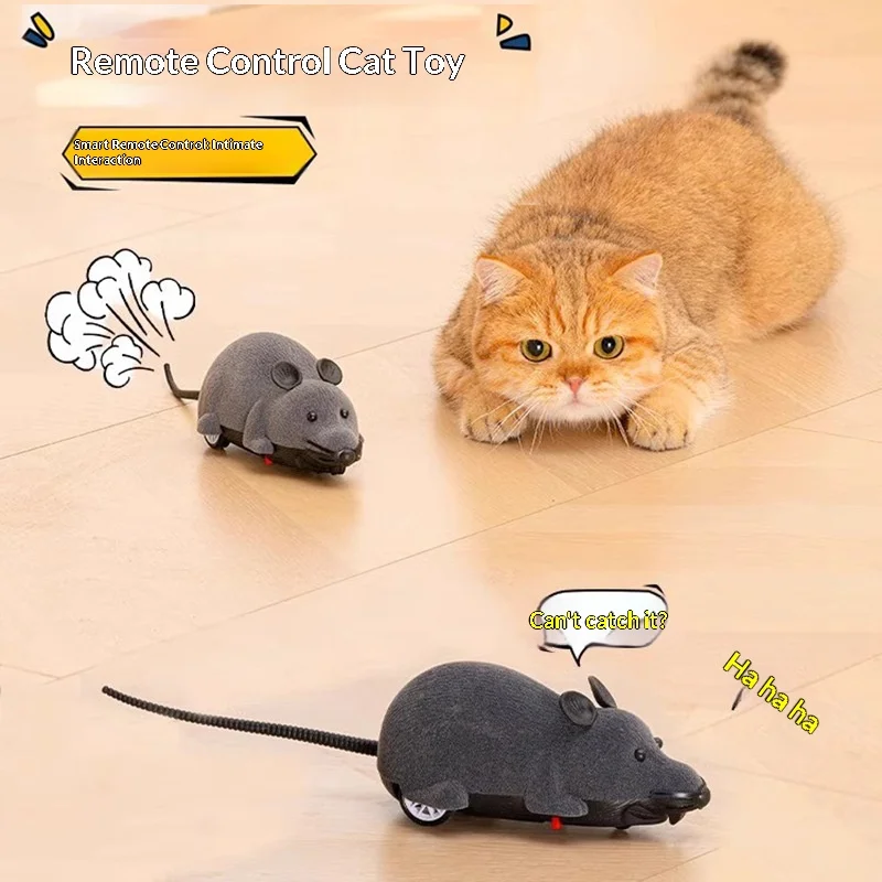 Thumbnail 2 - #46 Compare Pet Toys Before You Buy