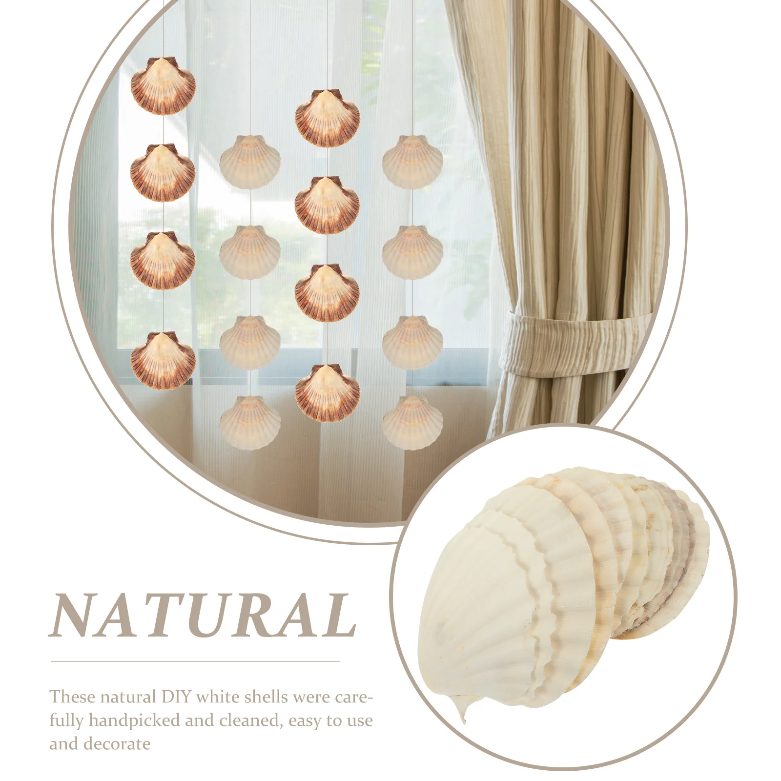 

10Pcs Natural Scallops Shell Decor DIY Handicraft Accessory for Fish Tank Aquarium Landscaping Ornament Beach Seashells Crafts