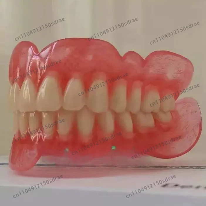 Full and Half Teeth Models for Elderly Full Denture Batch Sample Models Removable False Teeth Display Demo