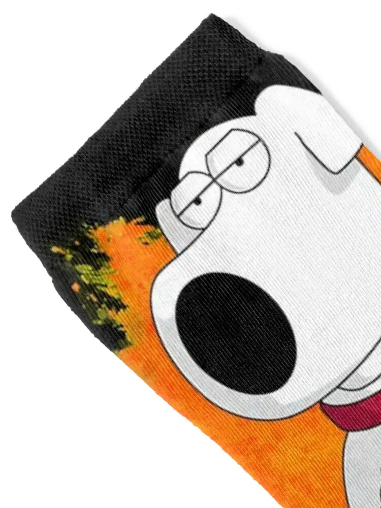 brian and stewie Classic T-Shirt Socks compression hip hop sports and leisure Run Designer Man Socks Women's