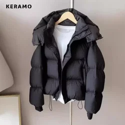 2024 Winter American Retro Style Solid Single Breasted Parkas Warm Thick Jacket For Women Casual Outerwear Vintage Zipper Coat