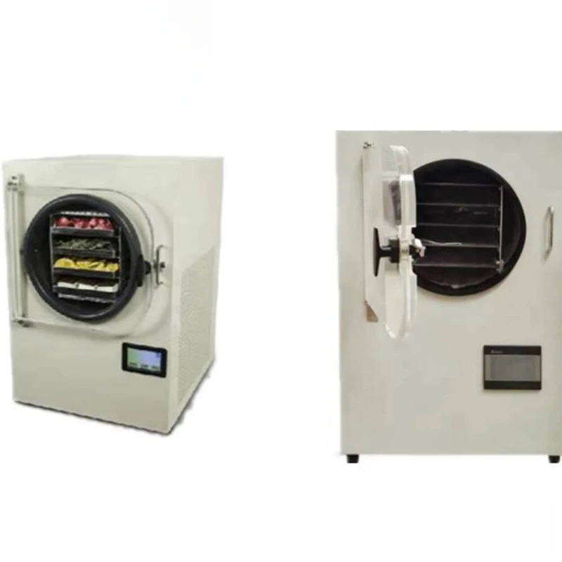 Small Square Storehouse Freeze-drying Freeze Dryer Lyophilizer Machine For Vegetables, Equipped With Essential Pump Gear Engine